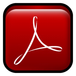 Adobe Reader XI (11.0.10) en / (11.0) rus - «Программы»