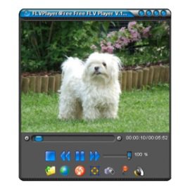 FLVPlayer4Free 6.7.0.0 - «Программы»