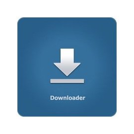 ВКонтакте.ру Downloader 0.3.5.0 - «Скачивание файлов»