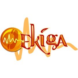 Ekiga 4.0.1 - «Общение»