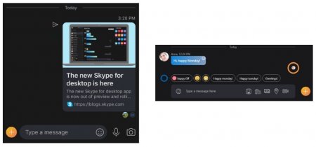Skype тестирует отметки о прочтении сообщений - «Последние новости»