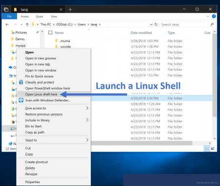 Windows 10 October 2018 Update: новшества для Подсистемы Windows для Linux - «Последние новости»