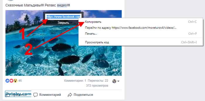 сохранить видео из Facebook