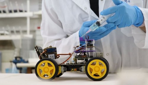 В Тель-Авивском университете создан робот, распознающий запахи - «Технологии»